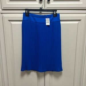 NWT J Crew pleated blue skirt 4